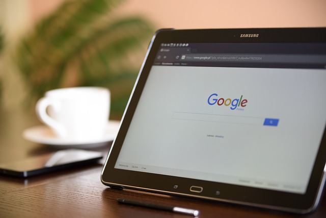 Googe search screen