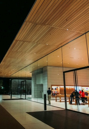 Shoppers at Apple Store